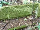 image of grave number 193102